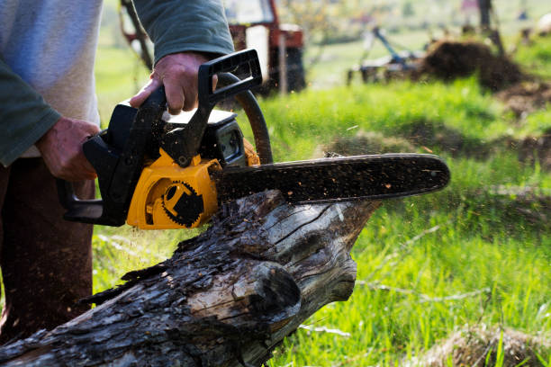 Best Lawn Irrigation Installation and Maintenance  in Necedah, WI
